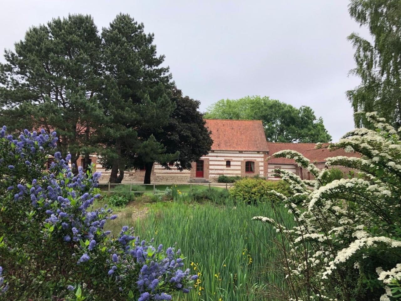 La Ferme De Mezoutre Vironchaux Exterior foto